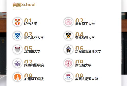 濟南學(xué)子美國本科留學(xué)申請全攻略與信息咨詢指南